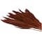 Dried Plant Bamboo Natural Foliage with Long Stems